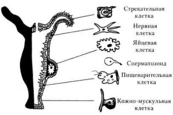 Меф в телеге